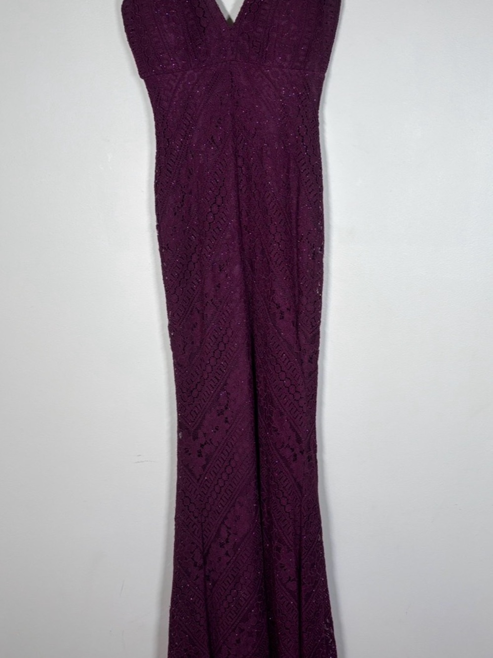 Women's Deep shimmer Plum Lace Gown